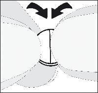 TRIFAS 10 MG_1032332_PIL_10323324x1